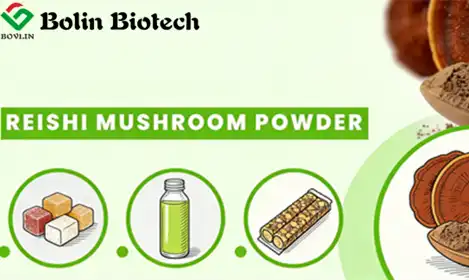 Innovative Applications of Reishi Mushroom Powder in Food and Nutraceutical Manufacturing